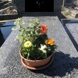 Fleurir une sépulture à Niort