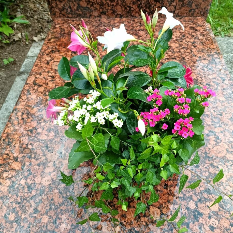 Entretien Et Fleurissement De Tombes Souvenir Fleuri entretien-et-fleurissement-de-tombes-souvenir-fleuri