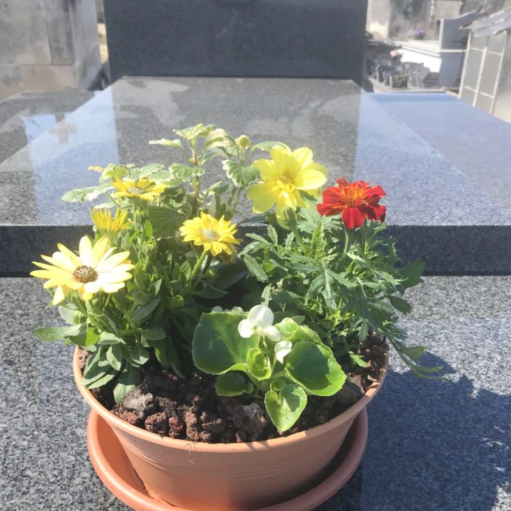 Entretien Et Fleurissement De S pultures Souvenir Fleuri entretien-et-fleurissement-de-s-pultures-souvenir-fleuri