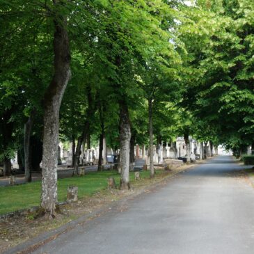 Un cimetière écologique à La Rochelle