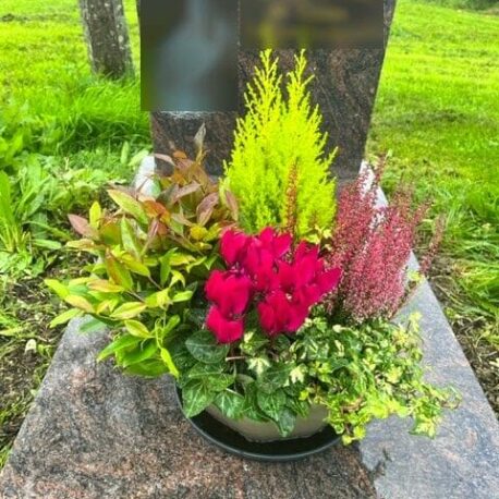 Fleurs au cimetière - Souvenir Fleuri