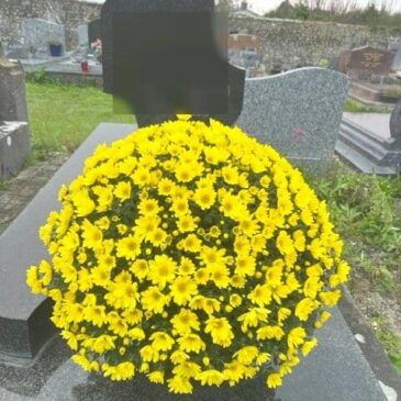 La Toussaint avec Souvenir Fleuri