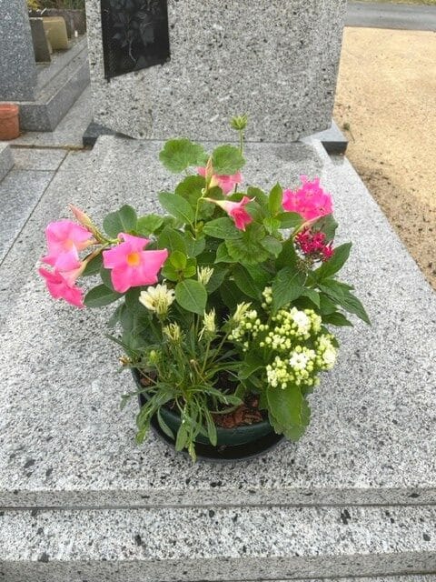 Fleurir une tombe à Rochefort