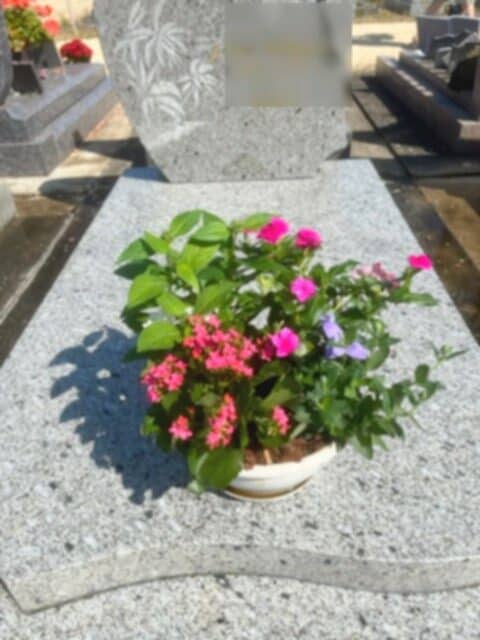 Fleurir une tombe à Rochefort