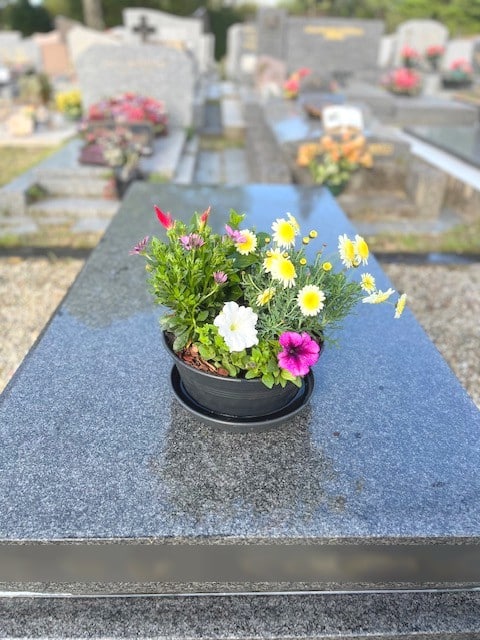 Témoignages - Souvenir Fleuri