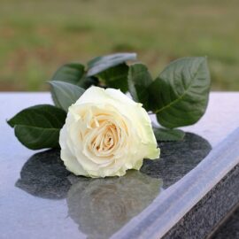 honorer la mémoire - Souvenir Fleuri